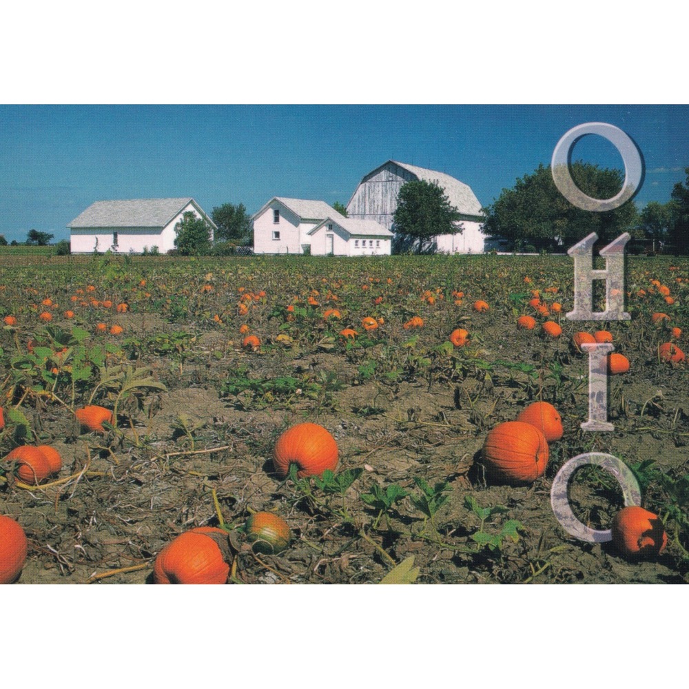Ohio Pumpkin Field Postcard White Barn Cottagecore Farmhouse Rustic Unposted